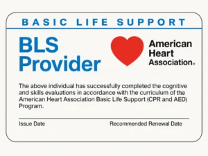BLS PROVIDER INSTRUCTOR E-CARDS $7.75 EACH