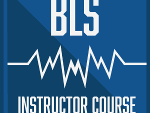 AHA BLS INSTRUCTOR COURSE $360