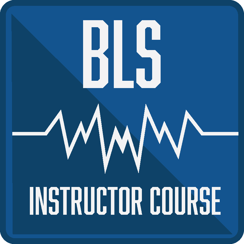BLS INSTRUCTOR RENEWAL COURSE $175