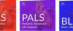 BLS ACLS & PALS RENEWAL COURSES $450.00