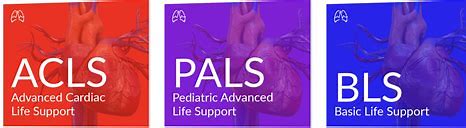 BLS SKILLS& ACLS SKILLS & PALS SKILLS SESSION $425
