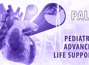 PALS COMPLETE COURSE ( BOTH PARTS) $245