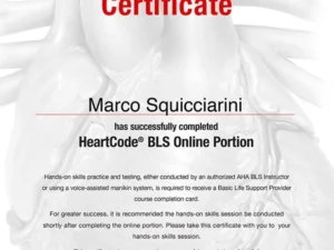 BLS HEARTCODE COURSE $30 (NOT THE BLS COURSE ONLY PART ONE CERTIFICATE)