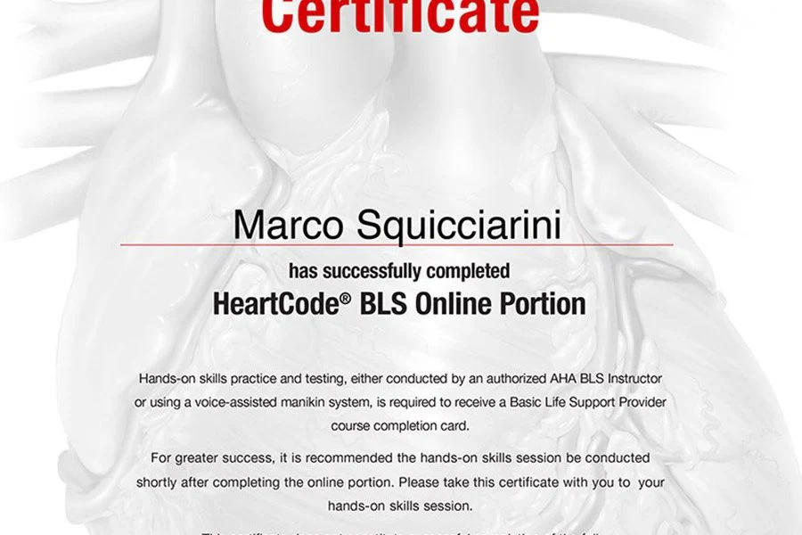 BLS HEARTCODE COURSE $30 (NOT THE BLS COURSE ONLY PART ONE CERTIFICATE)